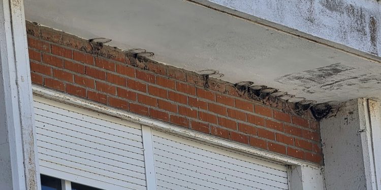 Quejas por la destrucción de una colonia de aviones comunes en el edificio del antiguo instituto Tomás y Valiente de Peñaranda
