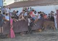 Nava de Sotrobal disfruta de una tarde de sol, emoción y algún susto en la capea celebrada en la plaza rectangular del Calvario