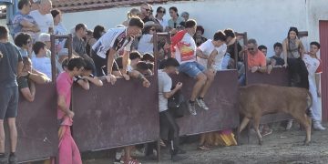 Nava de Sotrobal disfruta de una tarde de sol, emoción y algún susto en la capea celebrada en la plaza rectangular del Calvario