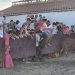 Nava de Sotrobal disfruta de una tarde de sol, emoción y algún susto en la capea celebrada en la plaza rectangular del Calvario