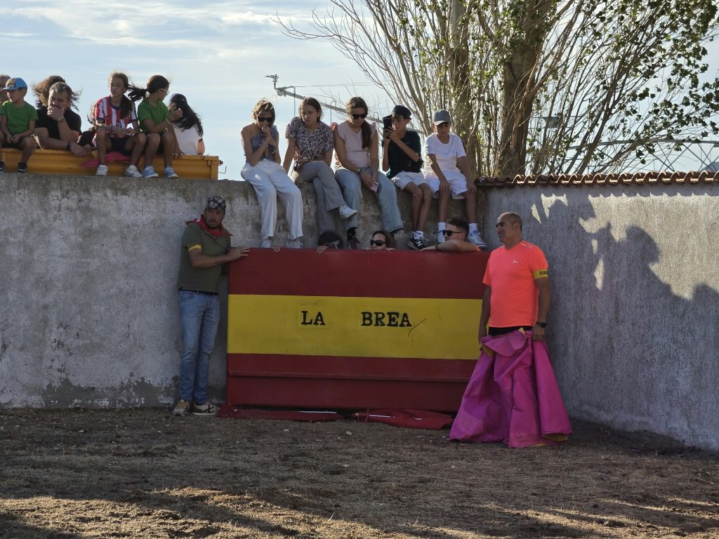 nava 36