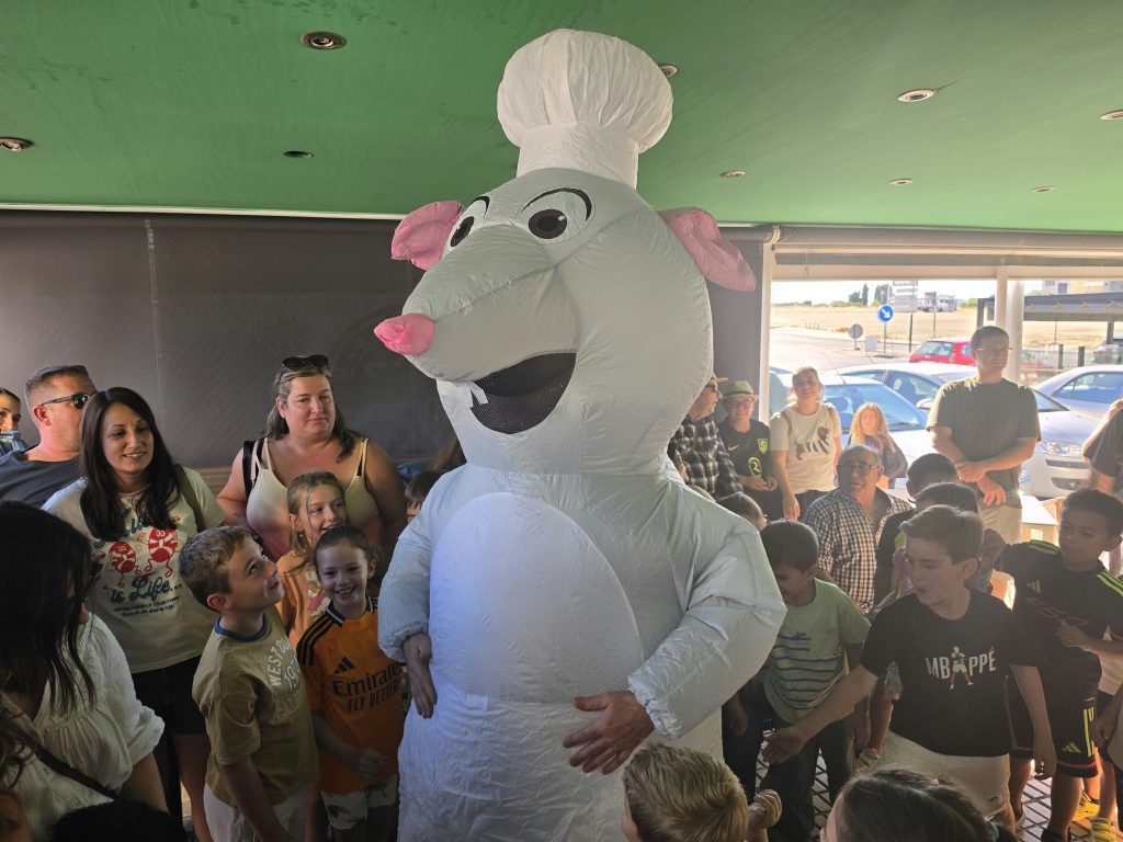 ratatouille 15