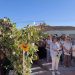 Vecinos de siete pueblos de la comarca se unen en una caminata de Paradinas a Rágama por el Jubileo de San Francisco de Asís
