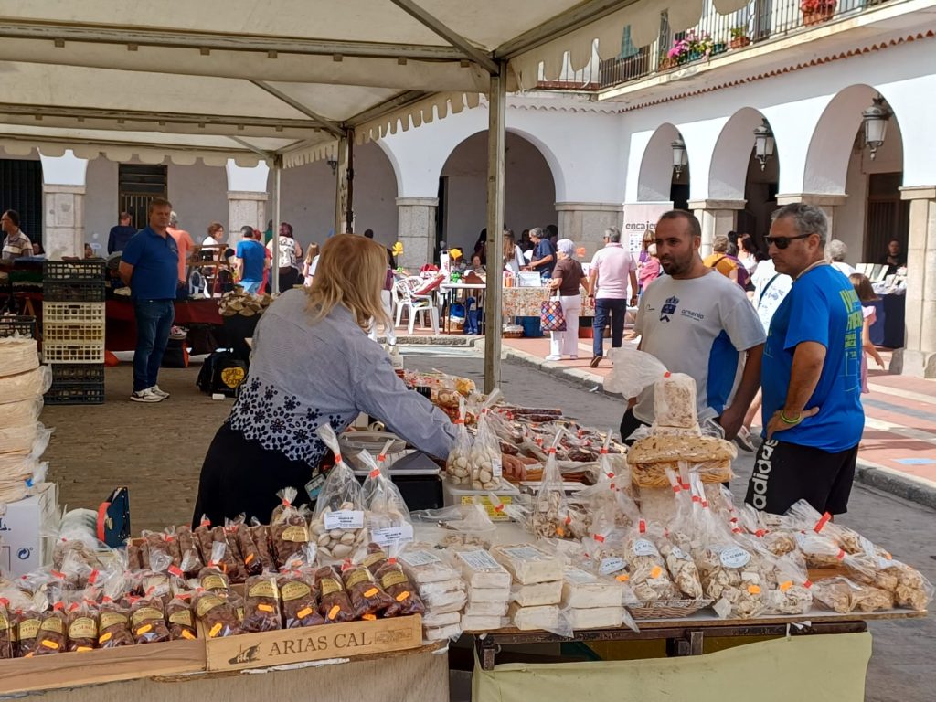sanmiferia 10