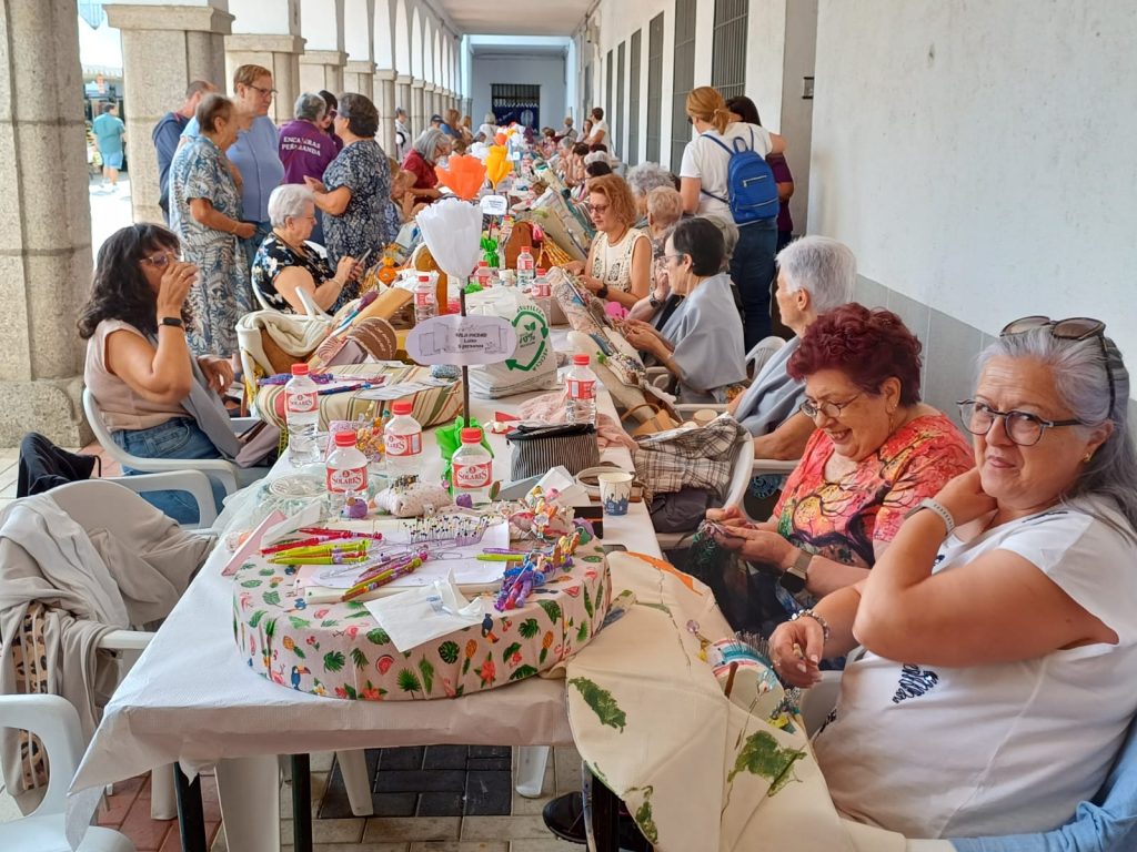 sanmiferia 9