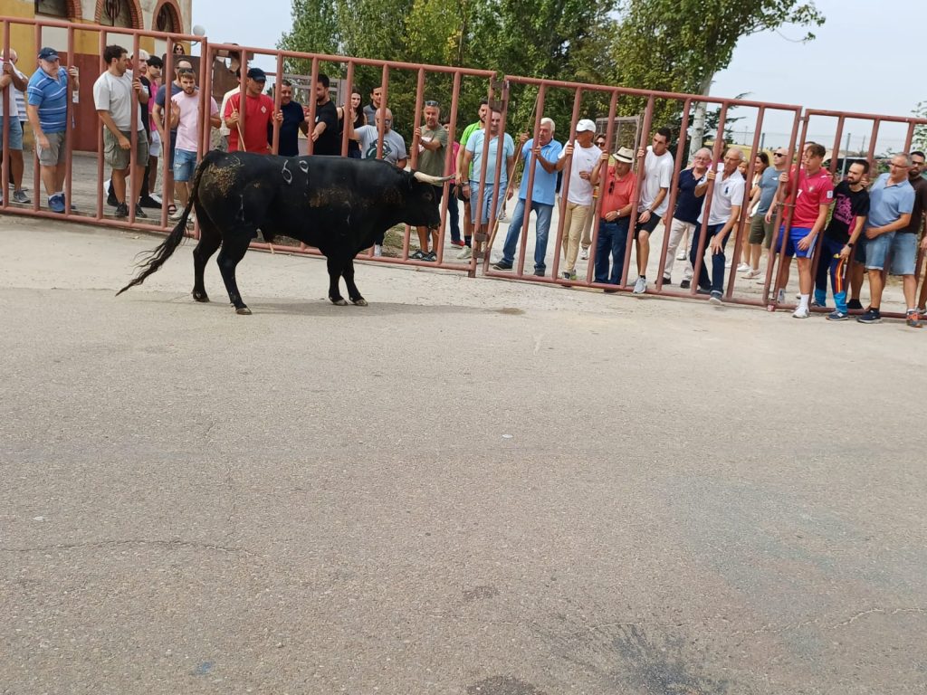 toro 18