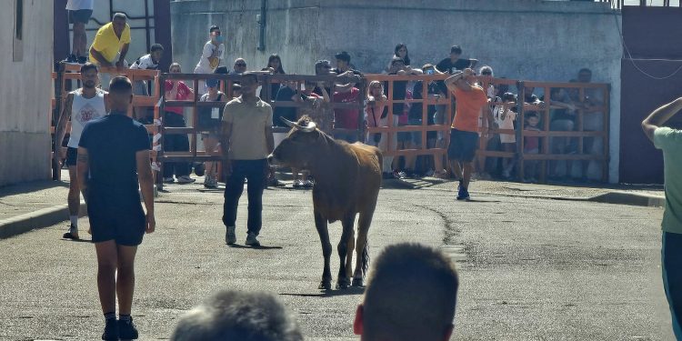 Villoria vive una intensa mañana con doble alborada y un encierro tradicional que ha reunido a vecinos y visitantes en el recorrido