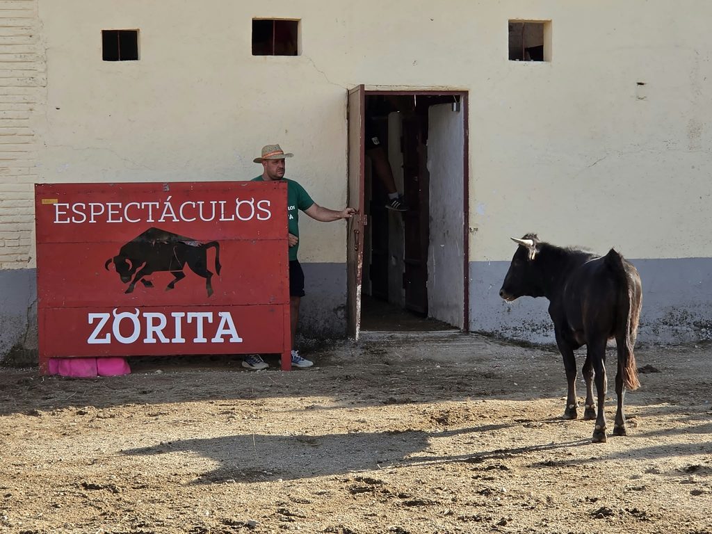 zoritoros 1