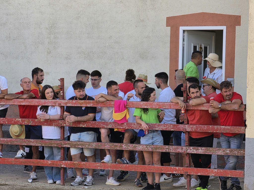 zoritoros 11
