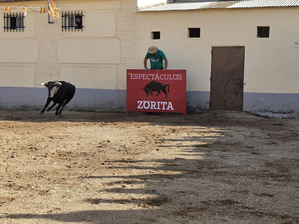 zoritoros 2