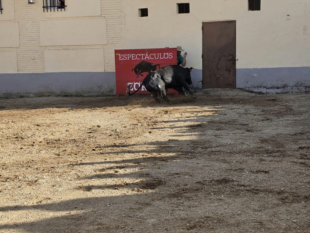 zoritoros 3