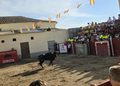 Tarde taurina en Zorita de la Frontera con una capea que ha reunido a los aficionados de la zona en las antiguas escuelas