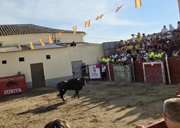 Tarde taurina en Zorita de la Frontera con una capea que ha reunido a los aficionados de la zona en las antiguas escuelas