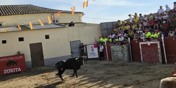 Tarde taurina en Zorita de la Frontera con una capea que ha reunido a los aficionados de la zona en las antiguas escuelas