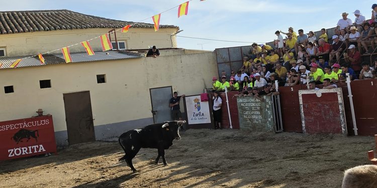 Tarde taurina en Zorita de la Frontera con una capea que ha reunido a los aficionados de la zona en las antiguas escuelas