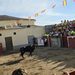 Tarde taurina en Zorita de la Frontera con una capea que ha reunido a los aficionados de la zona en las antiguas escuelas