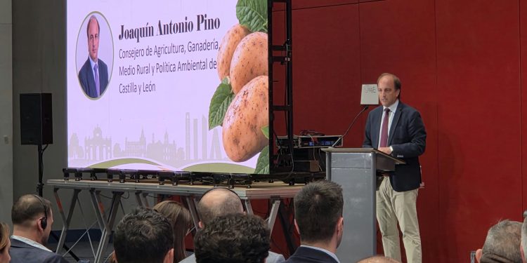 La Junta sitúa la rentabilidad en el centro del futuro de la patata y anuncia una marca de calidad para Castilla y León