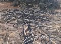 Aparecen a dos kilómetros de Villaflores varios centros de metros de cable abandonados y todo apunta a las bandas del «cobre»