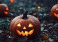 La asociación Zorita Vive prepara una celebración de Halloween con actividades divertidas y terroríficas para todas las edades