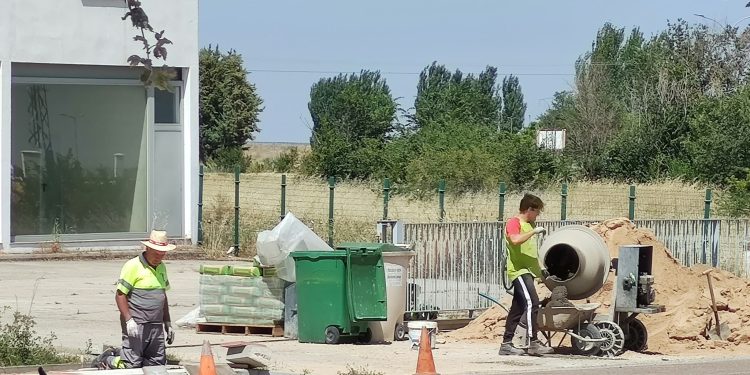 52 municipios solicitan el programa de fomento de empleo agrario con una dotación total de más de 1,6 millones de euros