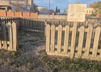 Abandono en el pipican de Peñaranda: los usuarios denuncian la falta de fumigación y el mal estado del vallado y los cierres