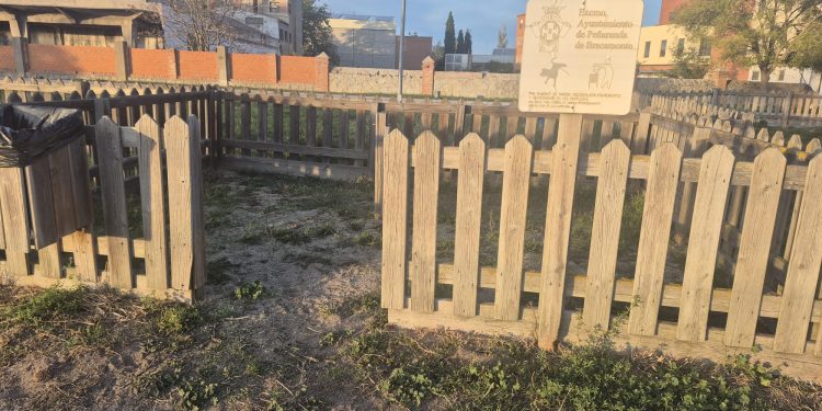 Abandono en el pipican de Peñaranda: los usuarios denuncian la falta de fumigación y el mal estado del vallado y los cierres